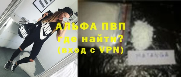 гашик Надым