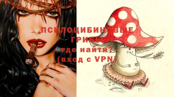 гашик Надым